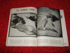 U.S. Camera Magazine January 1956 Marian Stafford Playboy Playmate Bertrand nude — photo 3