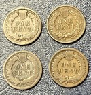 Foto 6 di 6