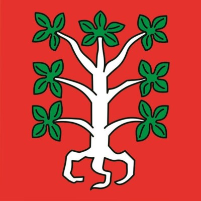 Aufkleber Entlebuch LU (Schweiz) Flagge Fahne 20 x 20 cm Autoaufkleber