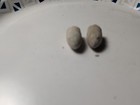 Dug Civil War era Confederate Richmond Sharps bullets — photo 9
