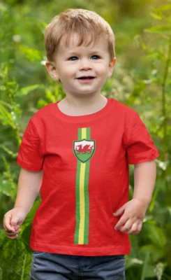 BUZZ SHIRTS BABY WALES Football T-Shirt Full Stripe, 6 Nations Welsh CYMRU, Rugby