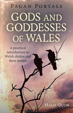Pagan Portals - Gods and Goddesses of Wales: a Practical