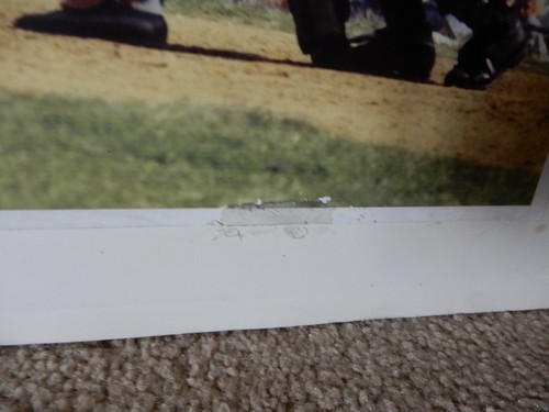 SELTEN PETE ROSE BIS ZUR FLEDERMAUSSCHAUKEL 16 X 20 ZOLL FOTO CINCINNATI REDS CROSLEY FIELD 1969 - Bild 11 von 19