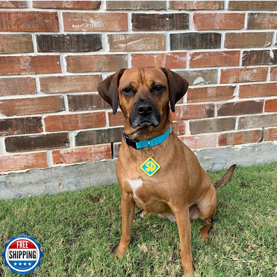 Dog Halloween Costumes, SD Collar Tags for Large Small Medium Big Extra ...