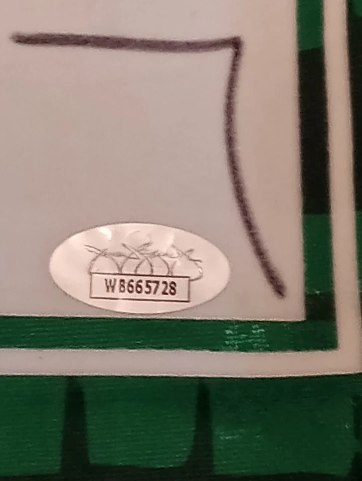 Jorge Campos Signed Mexico Jersey JSA COA(WB665728) - Image 3 of 4