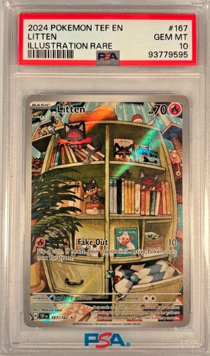 Litten #167/162 Illustration Rare Temporal Forces Pokemon 2024 PSA 10
