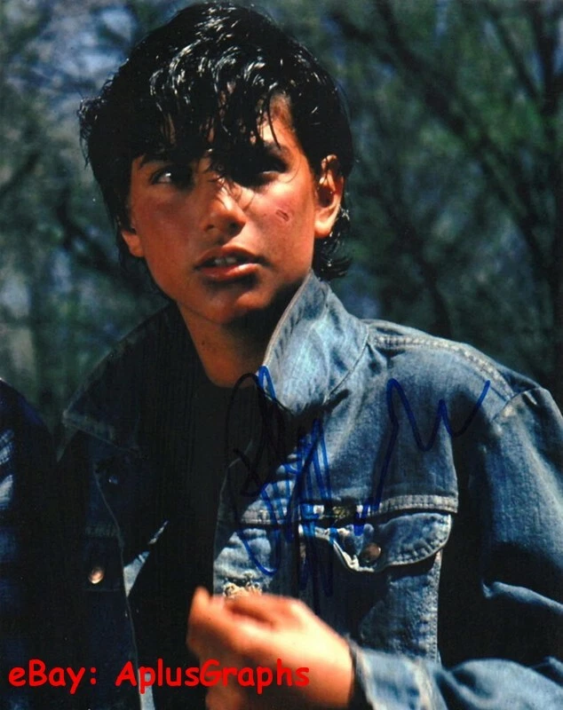 The Outsiders Ralph Macchio