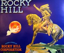 Rocky Hill Oranges Fruit Crate Label Original Vintage 1930's Horse Chief Sunkist