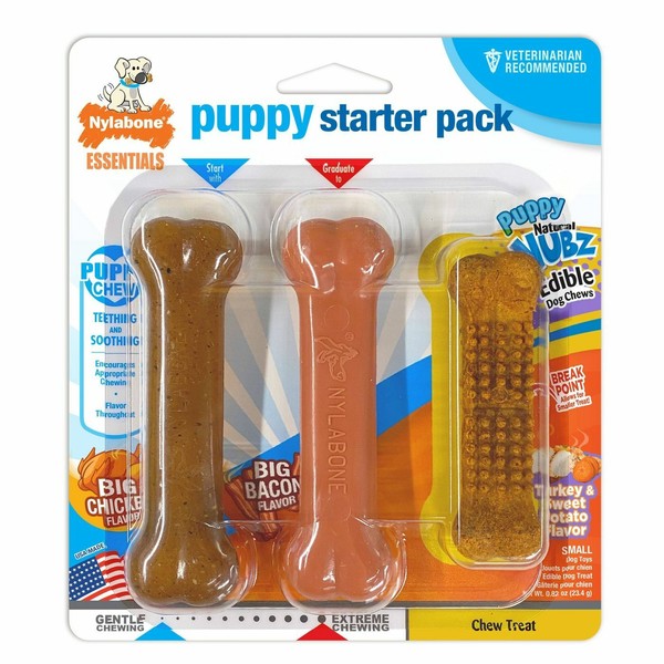 puppy starter kit nylabone