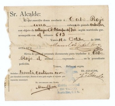 DOCUMENT / PERMIT TO TRANSPORT A BULL FROM YAUCO TO CABO ROJO PUERTO RICO 1900