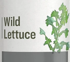 WILD LETTUCE - Natural Respiratory Support & Sleep Aid Tonic Tincture USA