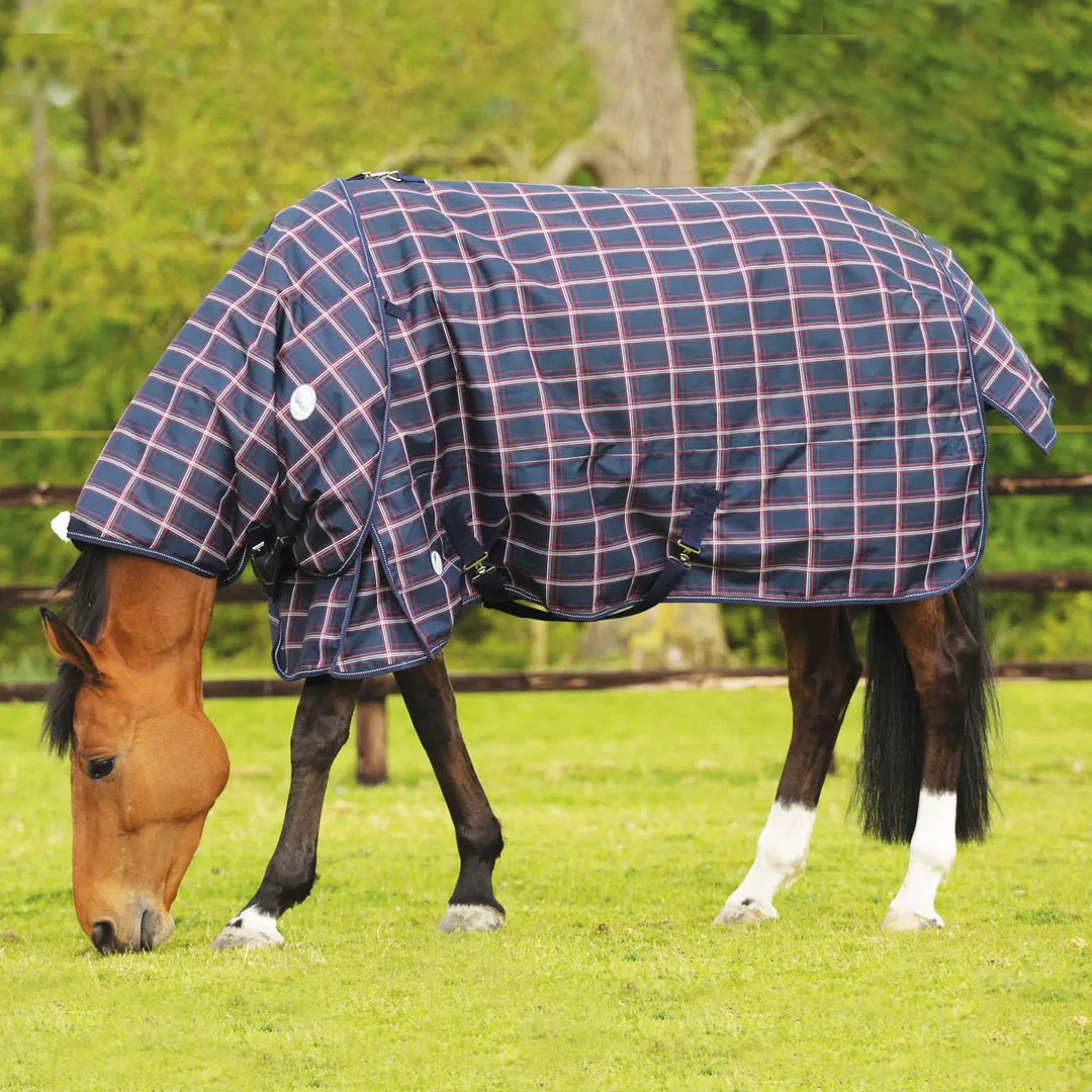 JHL Light Weight Plus 80g Turnout Rug | eBay