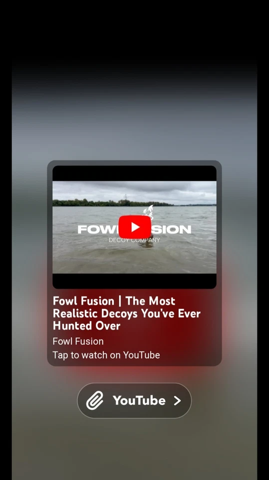 Automatic Duck Decoy Motion System - Image 3 of 3