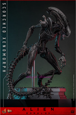 Hot Toys 1/6 Mms784 1/6 Alien: Romulus Scorched Xenomorph Action