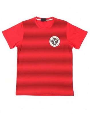 Majestic Mens New York Yankees Graphic T-Shirt Top Large Red Striped Cotton AI02