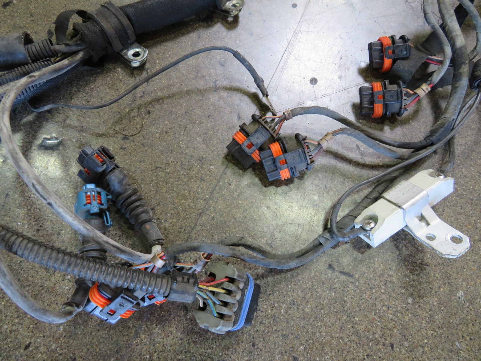 Ferrari 575, LH, Left, Engine Wire Harness, Used, P/N 187765