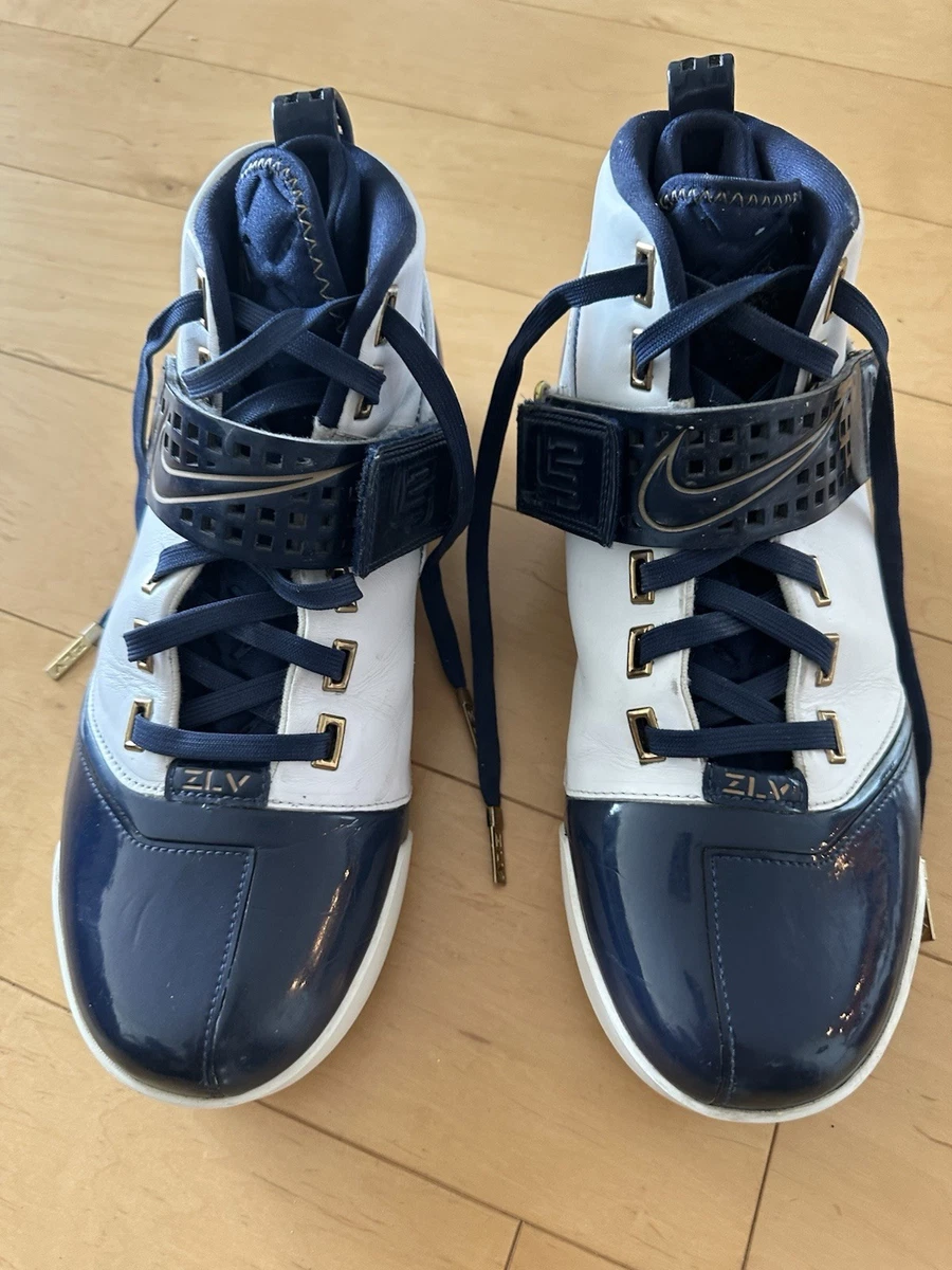 Nike Zoom LeBron V Athletic Shoes for Men for Sale | Authenticity