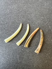 Set Of 4 Mother Of Pearl Tusks Almost 2” Each 