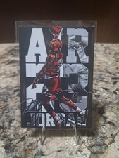 Michael Jordan - Chicago Bulls 