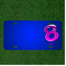 Custom Personalized License Plate With Add Names To Eight Glossy Number