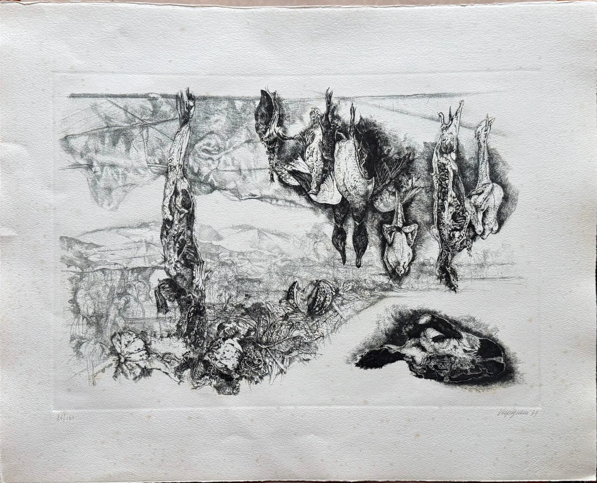DANILO ROVAI acquaforte Lucca 25x35 firmata a lapis numerata 8/100
