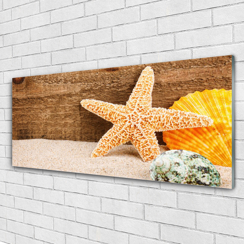 Tableau murale impression sous verre Tulup 125x50 coquilles sable mer