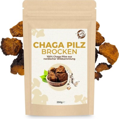 Chaga Pilz Tee 250g