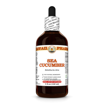 Sea Cucumber (Holothuria Atra) Dried Whole Liquid Herbal Extract