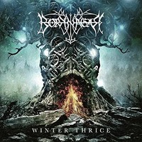 Borknagar - Winter Thrice - Vinyl Record Vinyl - G72Z