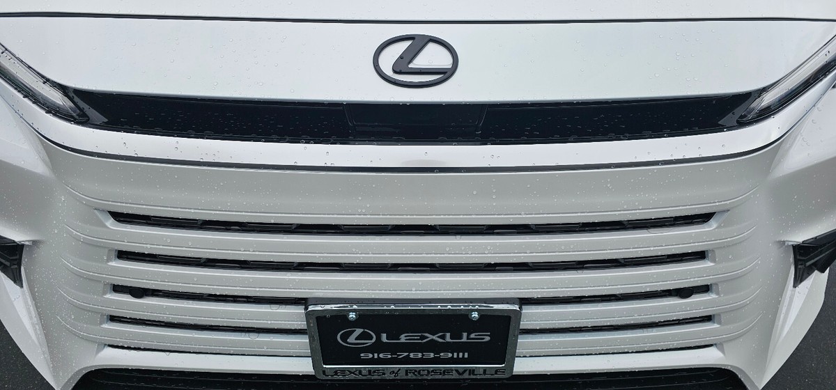 LEXUS OEM FACTORY BLACK EMBLEM OVERLAYS 2024 TX350 AWD PT948-4824D