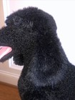 Bild 3 von 7