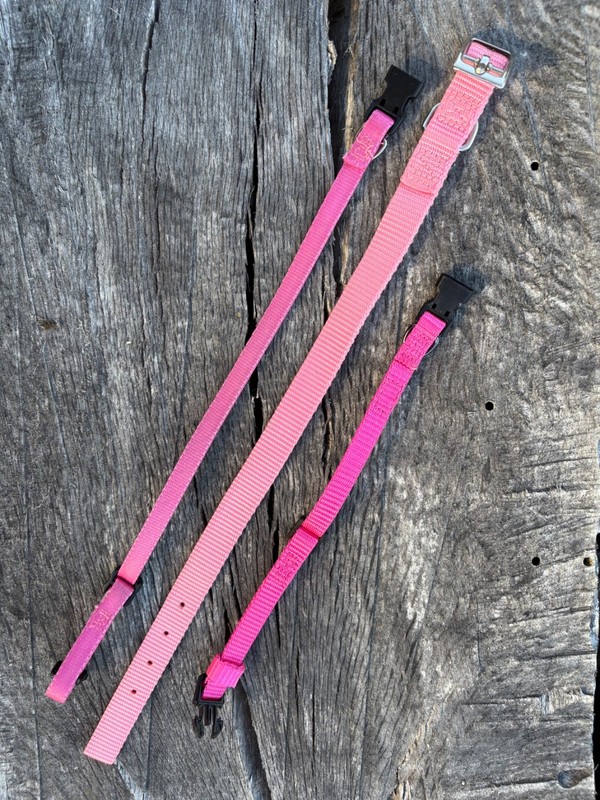 Lot of 3 Pink DOG COLLARS