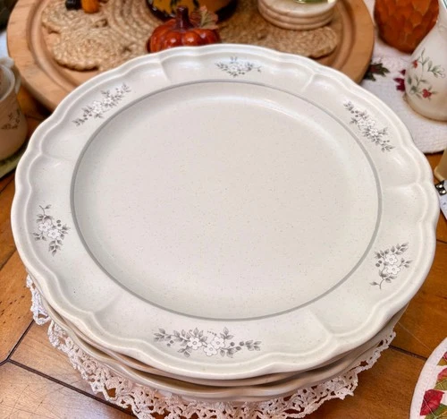 Vintage Pfaltzgraff Heirloom 10 1/4” Dinner Plates 4 Pieces MB