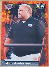 2022 UPPER DECK AEW ARN ANDERSON  DYNAMITE #D/299