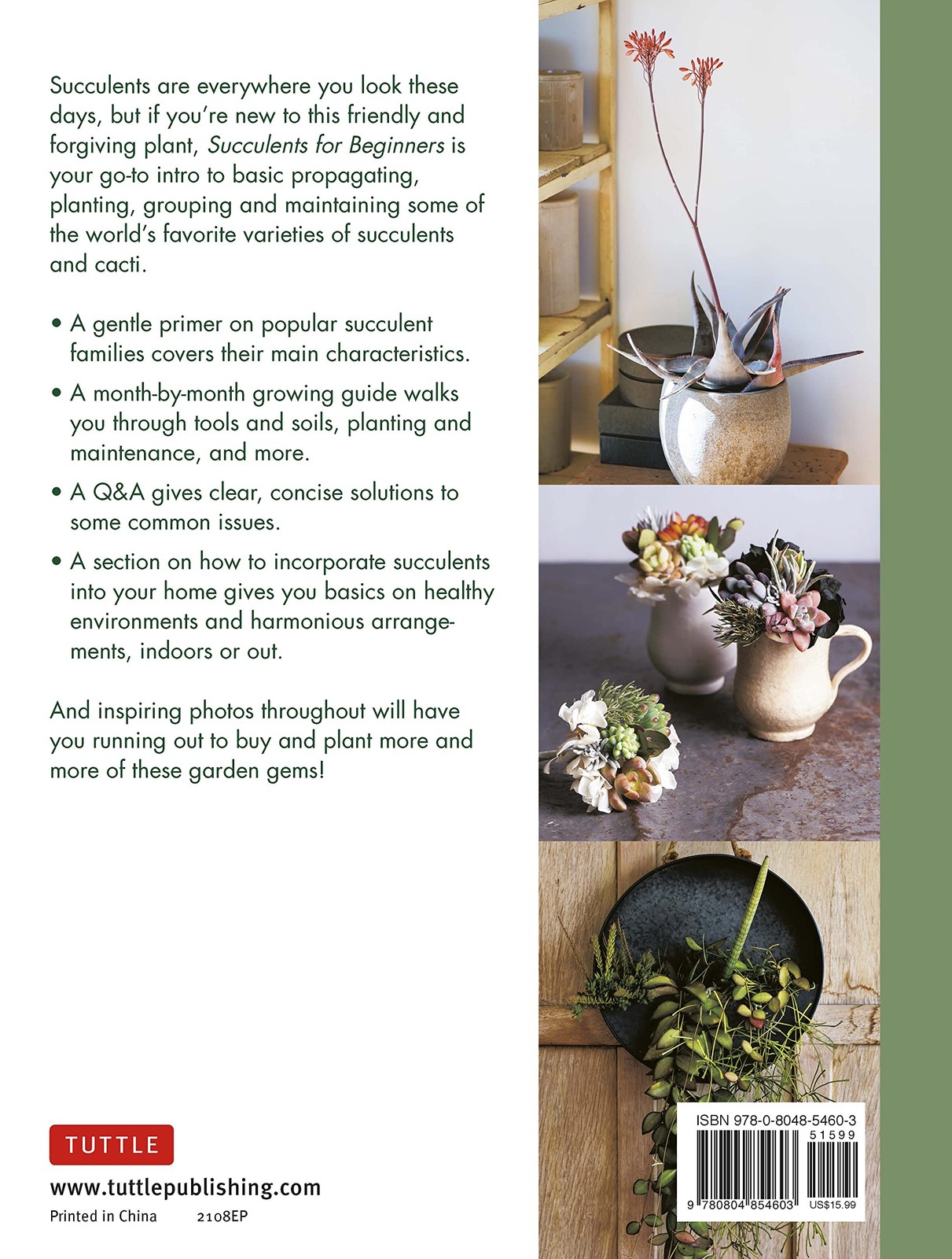 Succulents for Beginners: A Year-Round Growing Guide for Healthy and ...