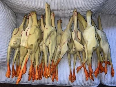 ORIENTAL TRADING COMPANY 18” Rubber Yellow Chicken -Classic Fun Joke Gag Toy Hollow Many Available Crafts
