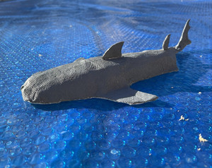 Bull Shark Paper Mache Figure - Shark Animal Class Collectible Display Piece