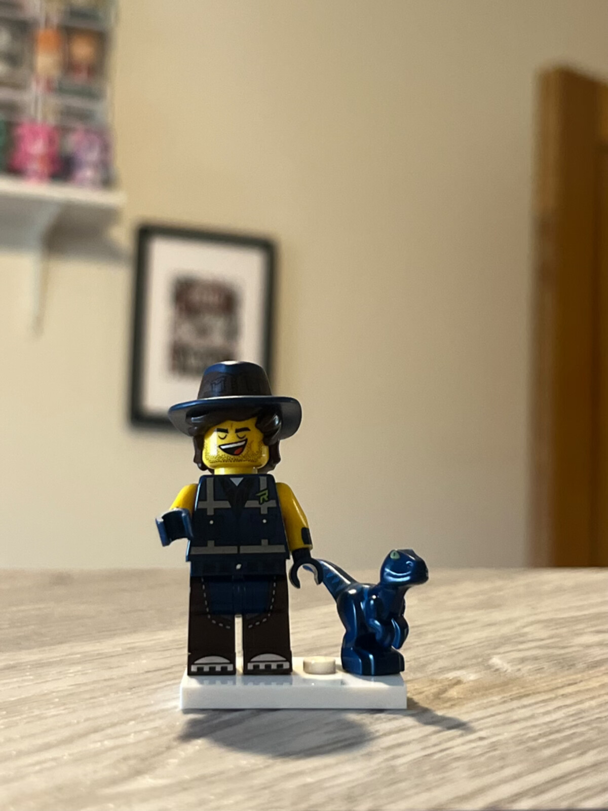 Picture 38 of 68