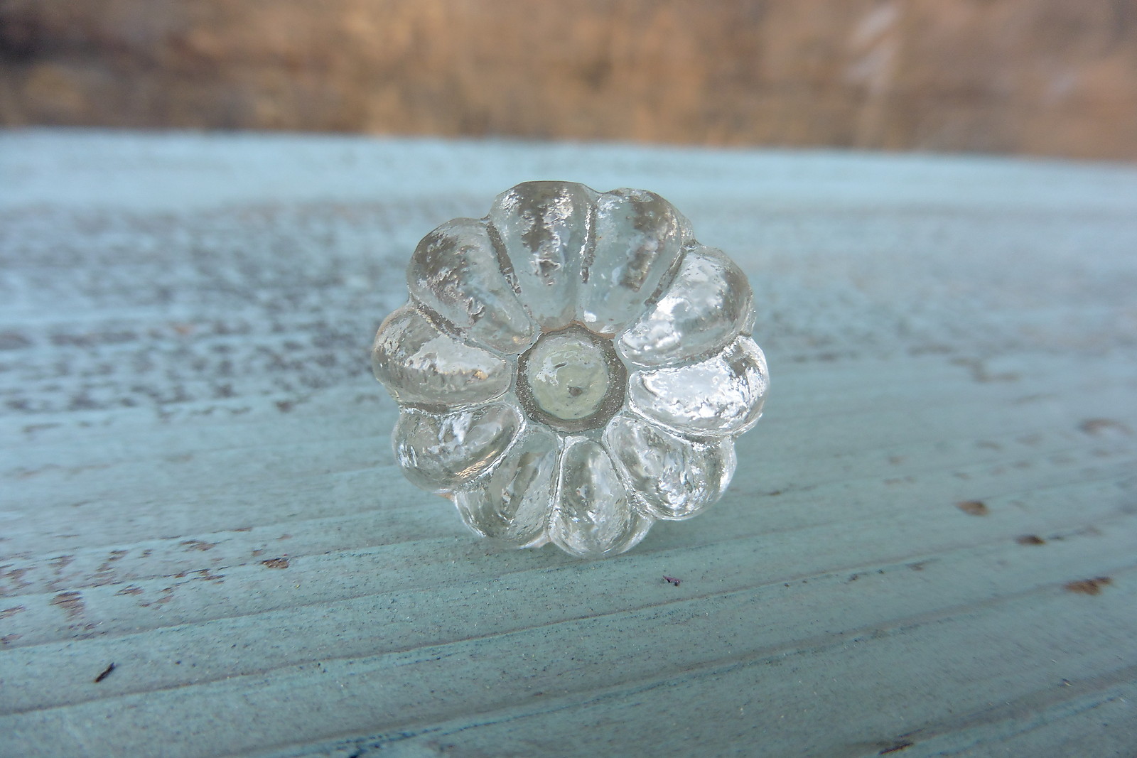 DAISY FLOWER Small Clear Crystal Glass Knob Drawer Pull Cottage BoHo Elegant