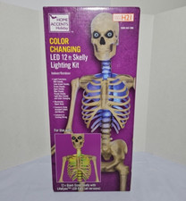 12 Ft Halloween Skeleton Skelly LED Home Accents Lighting Kit - Home Depot