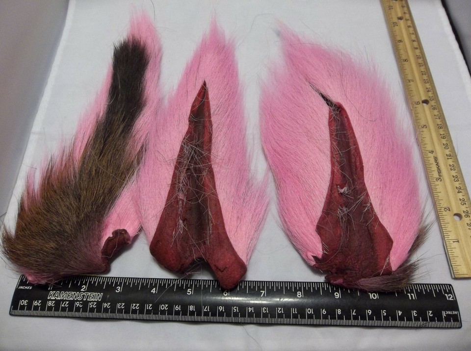 1 BUCK TAIL Deer tails hair - Premium Fly Tying Material - Natural ...