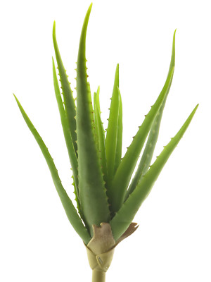 Künstliche Aloe Vera 41cm Real-Touch Aloevera Stecker Stab Kunstpflanze Pflanze
