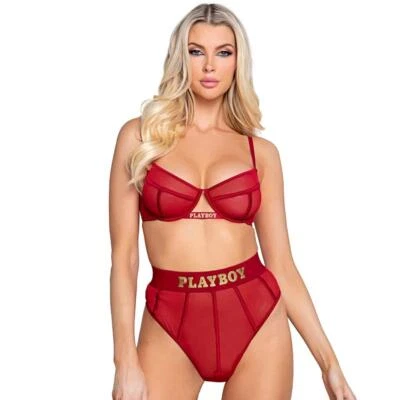 Mesh Satin Cage Bra Set Playboy Logo High Waisted Panty Sheer Burgundy Red LI119 - Image 1 of 4