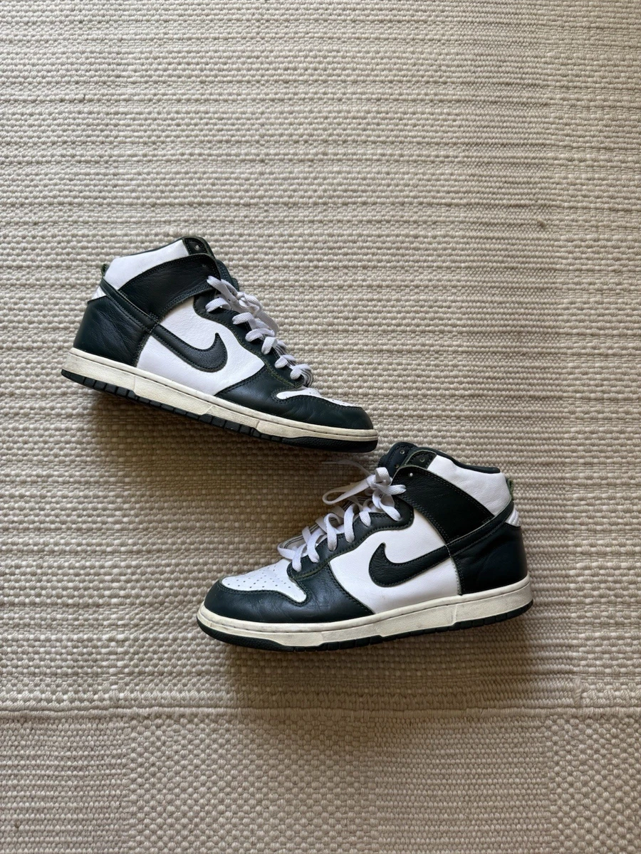 Nike Dunk Pro SB High Michigan | Updated Oct 2026