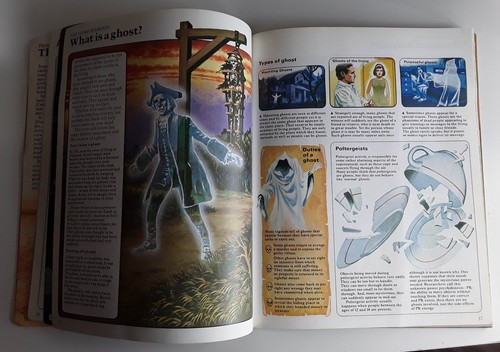 MYSTERIES OF THE UNKNOWN. USBORNE BOOKS. (1987) PAPERBACK. VINTAGE GHOSTS UFO - Picture 11 of 12