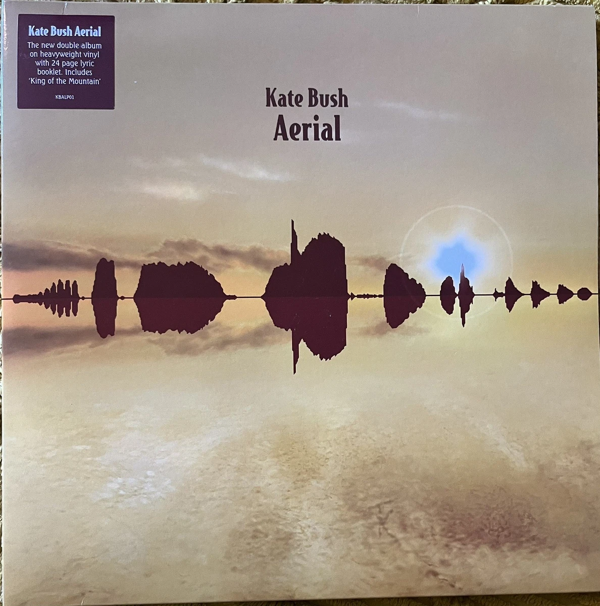 kate bush aerial products for sale | eBay UK