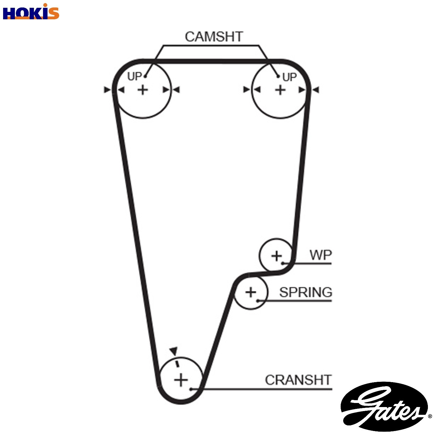 Gates 5505XS Timing Belt - Image 16