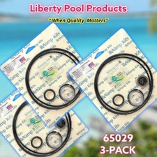 POWER PAK® II PUMP KIT  BY POOLTEK USA  65029 - FOR  DOUGHBOY™  3-PACK + LUBE