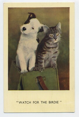 ''Watch the Birdie'' Vintage Komische Katze & Hund Postkarte A1