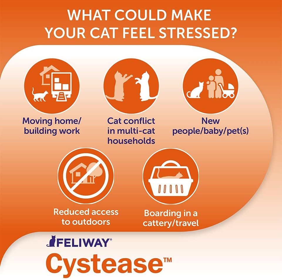 Cystease, for stressrelated bladder problems in cats 300 Capsules eBay